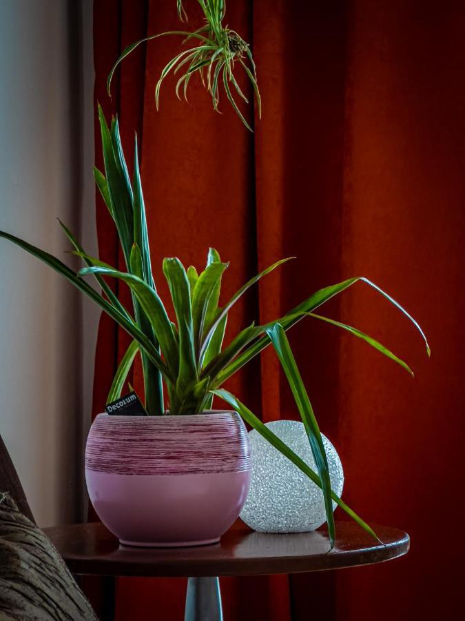 Animil 1 Apartment Котор Екстериор снимка